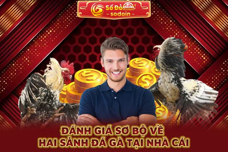 đánh-giá-sơ-bộ-về-hai-sảnh-đá-gà-tại-nhà-cái