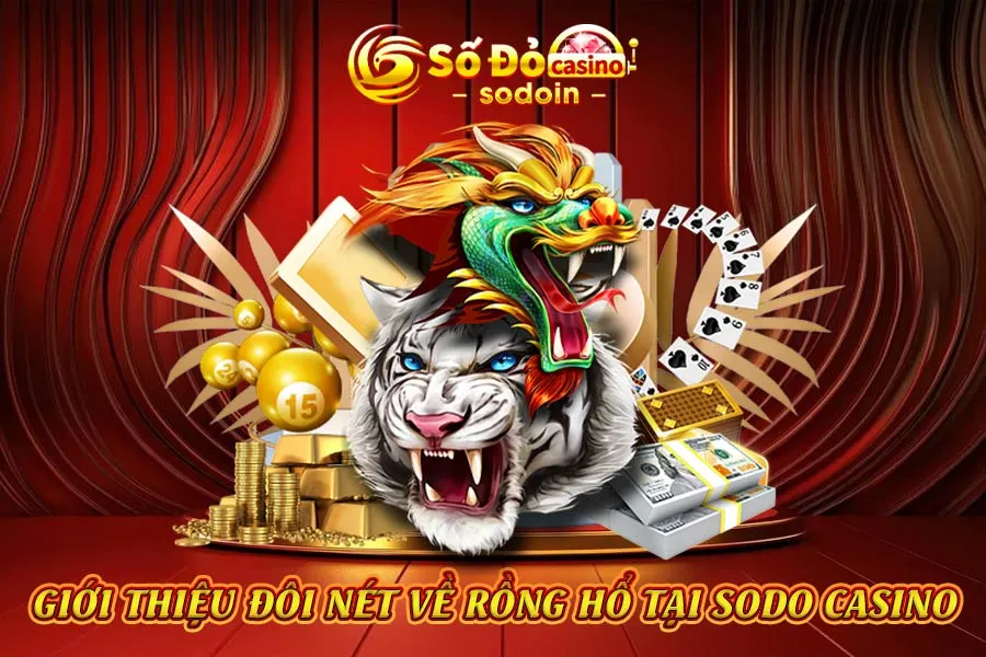 giới-thiệu-đôi-nét-về-rồng-hổ-tại-sodo-casino