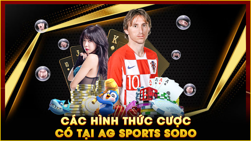 các hình thức cược có tại ag sports sodo